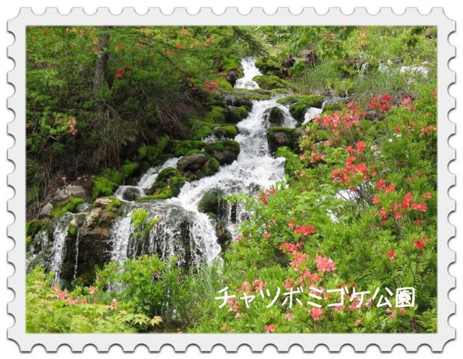 草津温泉 大仙の滝 野反湖 チャツボミゴケ公園 他 草津温泉 群馬県 の旅行記 ブログ By ちぃちゃさん フォートラベル 草津温泉 大仙の滝 野反湖 チャツボミゴケ公園 他 草津温泉 群馬県 の旅行記 ブログ By ちぃちゃさん フォートラベル