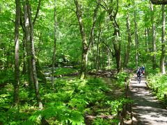 2015.5 八甲田山・奥入瀬・十和田湖・青森市　★新緑が沁みる～♪