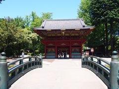 春の根津神社