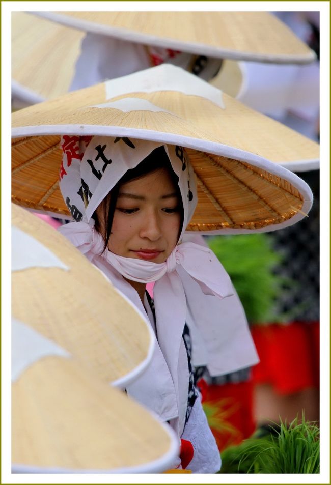 ■原田はやし田（来原さんばい祭り）／広島県安芸高田市高宮町原田<br /><br />　原田はやし田は、平成９年１２月１５日「安芸のはやし田」として山県郡大朝町の新庄はやし田と共に、国の重要無形民俗文化財の指定を受けました。<br />　原田はやし田は、中国山地に残る数少ない大田植えの一つです。<br />　大田植えは、江戸時代末期から各村々で盛んに行われていましたが、戦時中中断し、以後多くの大田植えが姿を消していきました。<br />　原田地区では戦後いち早く、若い有志が「はやし田」の復活に向けて動き始めました。幸いに古老や先輩も多く、田植え唄本や用具類も集まり、１０年後にはあまり原形を損なうこともなく復活させることができました。<br />　そして、昭和３２（１９５７）年１月１０日「原田田楽団」を結成。胴はやし、早乙女、綱方（牛を追う人）が一団となって、依頼を受けてはあちこちの田植えに出て行きました。<br />　それが「原田はやし田」の実地での練習となったのです。<br />　もともと原田地域は、耕地の多くが厚い粘土と深い泥におおわれ、稲作には不適な土地柄でした。<br />　そのため、田植えの始まる時期には、太陽と土と水の神（さんばいさん）を招く神事を盛大に行うようになり、その神事田植えが「原田はやし田」の本来の姿といえます。<br />　また、腰まで泥に浸るような湿田での独特な田植え唄「原田節」は、その極めてゆるやかなリズムが多くの学者や研究者の目を引き、これが指定の基になったと思われます。<br />　平成９年（1997年）１２月、国の重要無形民俗文化財に指定されました。<br /><br />▼安芸のはやし田<br />　安芸のはやし田は、広島県山県郡北広島町（旧・大朝町大字新庄）、安芸高田市（旧・高宮町大字原田）に伝わる民俗芸能、重要無形民俗文化財です。<br />　田植時の休日に定められた田圃で行われます。飾り牛が一列縦隊で田圃内を踏み歩く「代掻き」、田面を平らにならす「えぶり」、早乙女や楽器奏者などの一行が田圃に行進してくる「道行き」、サンバイ棚と呼ばれる祭壇の前での「田の神降しの神事」、「苗取」、「田植」と進められます。<br />　行事の中心となる「田植」では、早乙女たちが後下がりしながら苗を植えて行きます。その際、早乙女たちに面して立った田の神サンバイと早乙女との間で歌が掛け合わされます。早乙女たちの後方では、大太鼓、小太鼓、鉦などの楽器の奏者がにぎやかに囃したてます。<br />　田植時に、声を掛けあい楽器で囃したてながら苗を植える芸能は、中世に描かれた絵画資料などにもみられ、田楽系芸能の変遷過程を知る上で重要な伝承です。<br /><br />【手記】<br />　安芸高田市の情報では、この日だけで美土里町で４ヶ所、高宮町で２ヶ所の計６カ所で伝統のはやし田（花田植え）が行われたようです。<br /><br />≪安芸高田市はやし田（花田植え）情報≫<br />　開催日：平成２７年５月３１日（日）<br />　　９：３０〜　川根はやし田　高宮町<br />　１０：００〜　来原さんばい祭り（原田はやし田）高宮町<br />　１３：００〜　本郷はやし田　美土里町<br />　１３：００〜　生田はやし田　美土里町<br />　１３：００〜　中北はやし田　美土里町<br />　１３：３０〜　桑田はやし田　美土里町<br /><br />　花田植え見物も脳内リフレッシュには最高！です。湧永庭園でバラ観賞を終えて近くで行われている花田植え会場へ向かいました。<br />　この日の訪問ルートは湧永庭園でバラ鑑賞⇒原田はやし田（花田植え）見物⇒中北の大花田植見物でした。