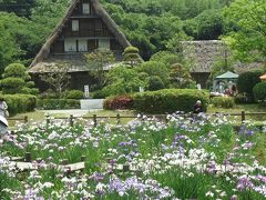 宮地嶽神社菖蒲祭り