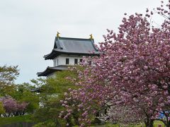 北海道花巡りドライブの旅・その１（松前公園）