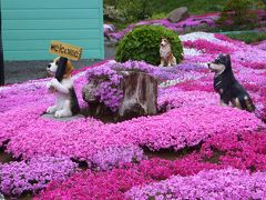 倶知安で芝桜を見て公園めぐり～後志管内ショートトリップ