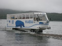 2011年8月21日：山中湖　にて「ＹＡＭＡＮＡＫＡＫＯ ＮＯ ＫＡＢＡ」に遭遇