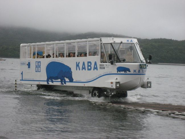 所用で山梨県山中湖に行く事になりました。<br />用事自体は大した事なくすぐ終わるので、<br />愛犬を同伴させ、山中湖畔を散策しようと企てて愛犬と２人（１人と一匹）で<br />中央道を一路山中湖へ<br /><br />残念ながら現地は小雨交じりの生憎の天気でしたが<br />愛犬とのデートを楽しみました。<br /><br />散歩中水陸両用車を発見したので、つい沢山写真を撮ってしまいました。