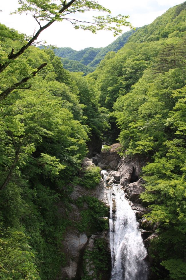 風薫る５月、お天気もいいので久々に<br /><br />車を走らせて。。。窓全開・・・♪<br /><br />秋保大滝まで行って見ました。<br /><br />秋保大滝植物園が入り口近くにあったのでちょこっと寄って来ました。。