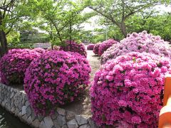 九華公園つつじ祭り