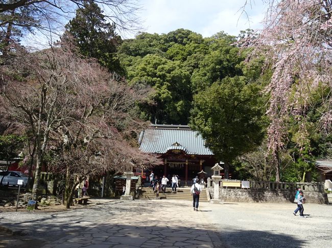 熱海にて半日時間があり３月末の桜の季節でもあり、桜が見れたらよいな〜と行ってみました<br /><br />先に家族の行きたいＭＯＡ美術館に行ったのでそこからはバスを使わず徒歩で・・・<br /><br />一日時間があるのでしたら、<br />一日乗り放題の７００円の湯遊バスを使うと指定観光地の割引もあるのでお得だと思います