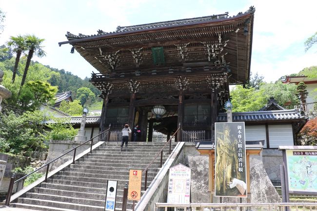 牡丹は終わり、紫陽花もまだ花の端境期でしたが花の総本山長谷寺を参拝しました。