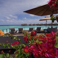 おっと、今年は永年勤続！モルディブ行くべ【2】Dusit Thani Maldivesで結婚25周年を祝おう-2015-5