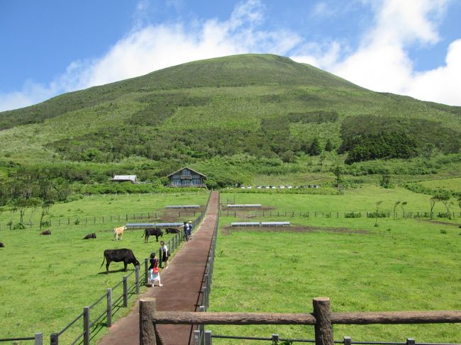 ANA 1891便で8:30に八丈島に到着、レンタカーを借りて島をめぐり、ANA 1896便で17:20に八丈島を離れる旅です。<br />八丈島を８の字に回るドライブです。<br /><br />島の案内は東海汽船のホームページを参考にしました。<br />http://www.tokaikisen.co.jp/island/hachijojima/index.shtml