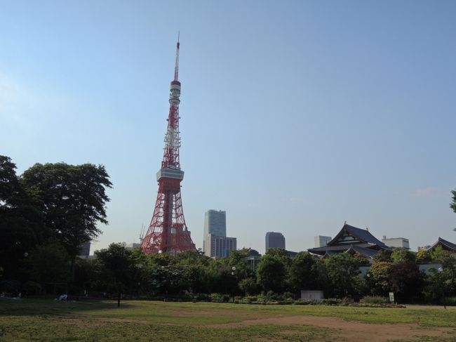 東京タワーが奇麗にみえる芝公園。その近くには、芝東照宮、芝大神宮があります。<br />東京タワーへの散策ついでにいかがでしょうか。<br /><br />新緑の中、仕事がてら、散歩してみました。<br /><br /><br /><br /><br />