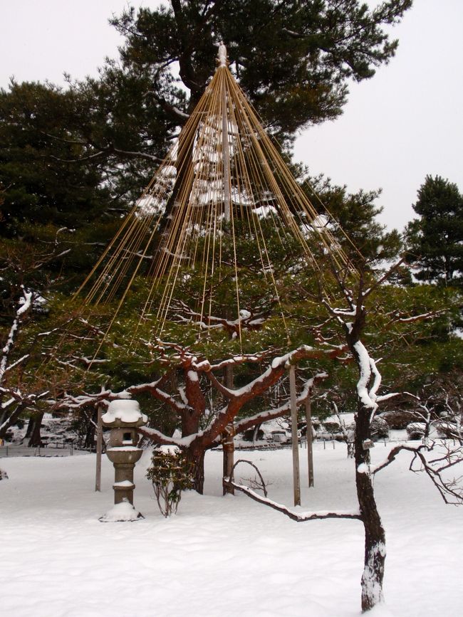 The next day, we went to Kenrokuen in Kanazawa first. This is the one of 3 famous gardens in Japan, Kairakuen (Ibaragi), Korakuen (Okayama) and this, Kenrokuen. This trip was already planned bus trip and we had about only 1 hour to go and see.