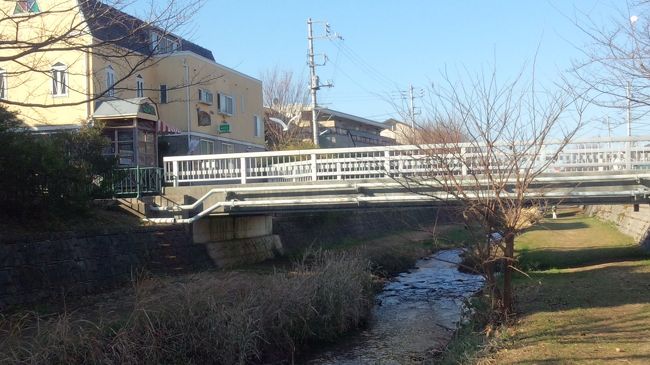 2011年12月30日：野川西之橋付近散策