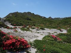 神津島　天上山トレッキング（花の百名山オオシマツツジ）