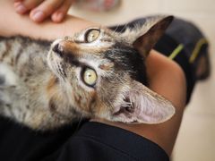 See the magic of east bali バリ東部 家族旅行④