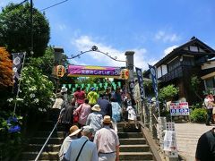 白山神社の文京紫陽花祭