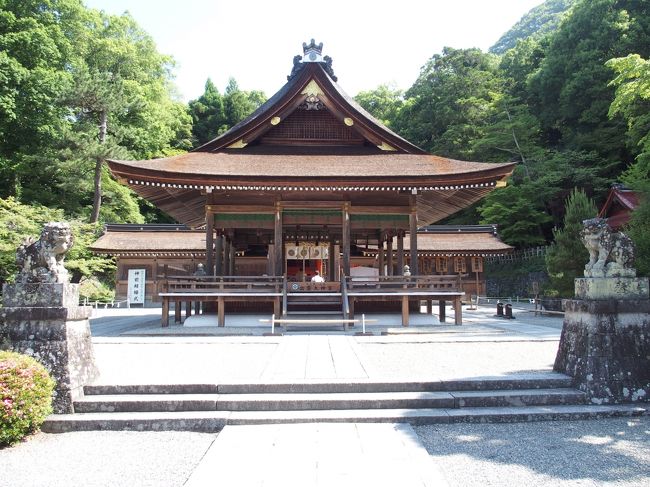 元出雲と呼ばれる出雲大神宮(イズモオオカミノミヤ)を参拝しました。出雲大社に参拝するのも大変なので、元出雲と言われる、京都亀岡にある丹波の国一之宮出雲大神宮を参拝しました。ご祭神は大国主命(だいこくさま、オオクニヌシノミコト)、后神の三穂津姫命(ミホツヒメノミコト)の御二柱。オオクニヌシノミコトは多くの后神様がおられますので、ミホツヒメノミコトは、そのうちのお一人の后神様です。高皇産霊尊(タカミムスヒノミコト)の娘神でオオクニヌシ国譲りの際妻となれたと日本書紀神代紀下、第二に記載有りとパンフレットにかかれています。天地創造の時代、天上界五柱の内の三柱の神の一柱、天上界の創造神である高御産巣日神が高皇産霊尊のことで、出雲の神は天と地の始まりの神ということになります。大国主命はスサノウノミコトの息子でイザナギノミコトの孫です。”丹波国風土記には「別に説あり」とことわり、天津彦根命(アマツヒコネノミコト:天照大神の第三子)、天夷鳥命(アメノヒナドリノミコト:天照大神の第二の御子である天穂日命(アメノホヒノミコト)の御子)同座鎮座とある。また富士古文書(宮下文書)では、首座は国常立命の神霊をお祀りし、両座の二座に大国主命、三穂津姫命が鎮座しているという内容の記述もある。”とパンフレットにあります国常立神とは神世七代の独り神国之常立神で、国土や大地の形成に関わる神と思われます。タカミムスヒノミコトや国之常立神は身体を持たず男女の性別のない神さまです。<br />鎮座は神代の昔。1万年以上前ともいわれ、崇神天皇が丹波地方全域を平定された折に再興。御神体山は、御蔭山、御影山、千年山とも称し、この山が太古より人々に神そのものとして崇められてきた。国之常立命(クニノトコタチノミコト)が鎮まる聖域である。神域は、古くは愛宕山さらに飛び地として大原野神社が傍に鎮座する小塩山を神領としていたが、鎌倉以降の騒乱で失われた。神域としては現在でも示すことができる。社殿の創建は和銅2年10月21日709年、三間社流造りの社殿は鎌倉時代のもので貞和元年1305年に足利尊氏、後にも細川勝元により修造され現在に至るものと伝えられる、旧国宝、重要文化財。御神水真名井の水は、御神体山から絶える事無く湧き出る水は真名井の水と呼ばれるミネラルバランスの良い中硬水で、霊験あらたかな水として、古来より近隣田畑を潤し、人々を万病から護ってきた。三大神徳として縁結、金運、長寿。(パンフレットより)<br />亀岡市文化資料館に立寄り、亀岡の歴史、亀山城跡、初代亀山城主の明智光秀公についての資料をたくさんいただいてきました。昭和59年廃校となった亀岡市市立女子技芸専門学校を改造し、文化財・文化資料などの調査・研究ならびに保管・展示を行う施設として昭和60年11月1日に開館。亀岡の地は遠く縄文時代から開け、弥生・古墳時代の遺跡や出土品もおおくあり、人々の生活の痕跡が見られます。(パンフレットより)<br />明智光秀は美濃土岐の出身の武将で、初めて亀山という地名を使用したいわれ、亀山城を築城し、亀岡(江戸時代は丹波亀山といわれたが、伊勢亀山との混同をさけるため明治2年に亀岡と地名を改称)発展の基礎を作ったと言われています。「加藤清正」を大河ドラマにと名古屋市中村区では盛り上がっていますが、亀岡でも「光秀」を大河ドラマにと誘致署名を集めています。<br />慶長11年1606年、保津峡の水路開発を行い舟運可能としたを角倉了以(すみのくらりょうい、滋賀県犬上郡吉田村出身、本姓を吉田)が始めた筏流しや舟運も明治時代に入り交通の発達(山陰本線の鉄道輸送・国道9号線のトラック輸送)などで衰退し、現在の亀岡から嵯峨までの観光遊楽の保津川下り興隆の基礎となった。(亀岡市文化資料館常設展示テーマ解説書より)<br /><br />出雲大神宮 P無料 <br /><br />亀岡市文化資料館 月曜、年末年始休館 P5台<br />9〜17時(入館は16:30まで) 常設展示入館料高校生以上210円小中学生100円<br /><br />光秀ゆかりのききょうの寺 谷性寺こくしょうじ 期間中光秀公像一般公開<br />ききょうの里 大山崎JCT〜京都縦貫道亀岡ICから約15分 <br />JR亀岡駅から京阪京都交通バス約30分猪倉下車5分<br />ききょう約50,000株本オープン6/27〜7/28 入園料中学生以上500円<br />15,000株の花畑(ゆり・はんげしょう・ぎぼうし・ルドベキア・アガパンサス・ひまわり等)プレオープン6/20〜6/26 入園料中学生以上300円<br />亀岡ききょうの里HPに割引券有、前売り券400円<br /><br />道の駅ガレリア P無料 生涯学習施設、商工会議所など併設のため物産販売は中規模<br /><br />丹波七福神めぐり スタンプラリー用紙有 出雲大神宮の周辺約12km丹波古街道<br /><br />嵯峨野トロッコ列車 トロッコ嵯峨駅-トロッコ亀岡駅 7.3km 片道600円<br /><br />JA京都ファーマーズマーケットたわわ朝霧 京都府最大級の規模を誇る農産物直売所 P無料<br /><br />湯の花温泉 京の奥座敷と言われる 旅館ごとに日帰り温泉あり<br /><br />鍬山神社、薭田野神社、愛宕神社、穴太寺、20世紀・時空館、”負けるが勝ち”などの名言を残した商人石田梅岩生誕地、亀岡市曽我部町穴太の生まれの円山応挙作品収蔵の金剛寺、足利尊氏ゆかりの篠村八幡宮、東洋医学の祖と言われ、日本最古の医術書「医心方」に医食同源の言葉を残した丹波康頼の住んだ医王谷、京都鉄道を敷設した田中源太郎の邸宅楽々荘(現在は旅館)、オニバス自生地平の沢池、七谷川さくら公園、亀岡夢コスモス園、ひがんばなの里など名所有<br />