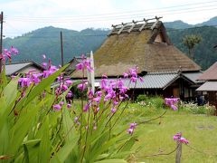 心に染みる日本の風景を訪ねて♪初ドライブは茅葺屋根が残る町、美山町