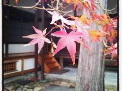 広島県は三原市へ紅葉狩り＆ドライブ旅