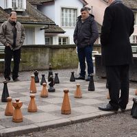 2015.02・冬のクロアチア＆スロベニア14日間の旅【19】～大人も童心に返る賑やかなチューリッヒのカーニバルに遭遇～