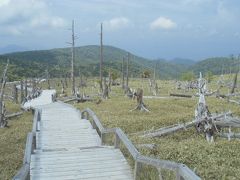 大台ケ原を歩く