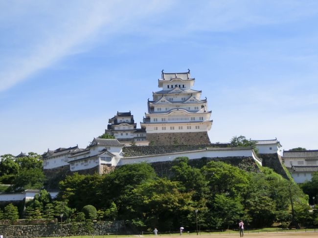 今年３月にグランドオープンして別名「白鷺城」と呼ばれる姫路城がよみがえりました。<br />白漆喰総塗籠と呼ばれる工法が使われていてきれいな白色になりました。<br /><br />黒田官兵衛や羽柴秀吉とも縁があります。<br />世界遺産でもあり国宝でもあります。<br /><br />グランドオープンして２ヶ月が過ぎましたが、まだまだ訪れる人がとても多いです。<br />休日ならオープンと同時に入ることをおすすめします。