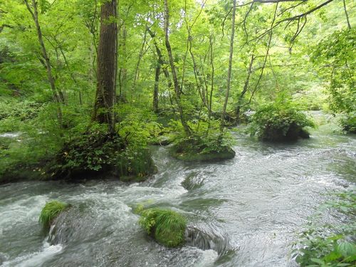 奥入瀬渓流』奥入瀬・十和田湖(青森県)の旅行記・ブログ by