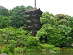 (8)日本3名塔・国宝瑠璃光寺五重塔の優雅な姿