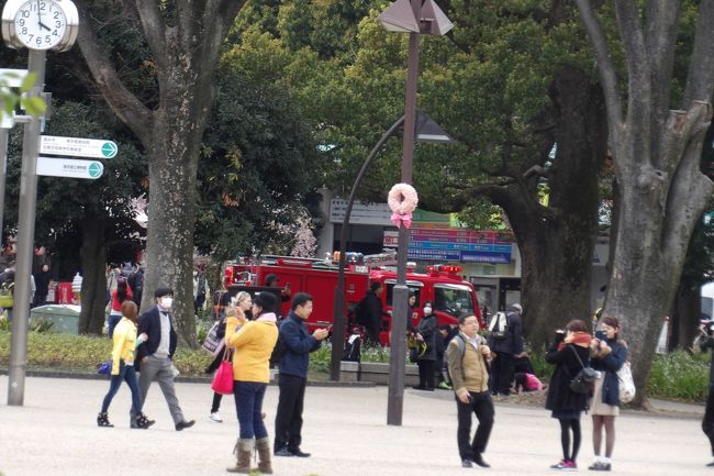 　上野の東京国立博物館正門前の道路をサイレンを鳴らして緊急車輌が通る。パトカーだろうと見ると消防車であった。すわ火事？<br />　この消防車は右折して科学博物館前を通り、上野公園の交番辺りに停車した。煙などは全く見えないし、火が出るような場所でもなかった。おそらくは、出動した消防署の救急車の後について来た消防車であろうか？<br />（表紙写真は上野公園の消防車）