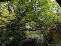 緑の京都