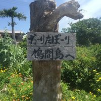 中学生の時からの夢が叶った日。鳩間島！