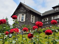 旧古河庭園の薔薇