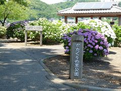 丸山・かたくりの里公園のアジサイ_2015_群馬県・太田市