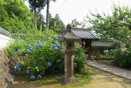 2015梅雨、三河の紫陽花：本光寺(4/4)：祖宗紀功碑(亀趺)、西廟所、 松平忠利公座像