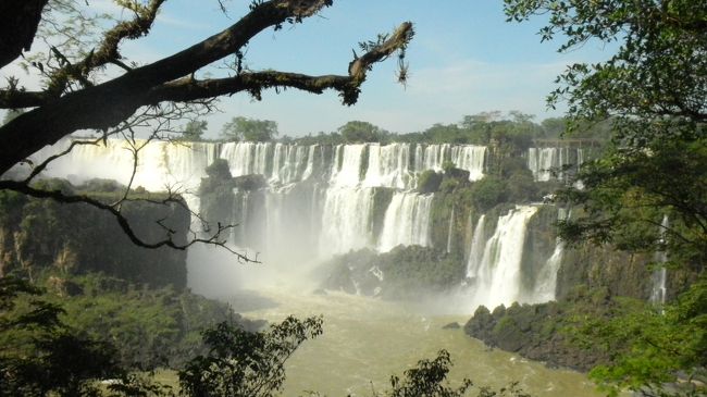 南米の旅の締めくくりでイグアスの滝に行く。<br />世界３大滝の北米のナイアガラと<br />アフリカのザンビアのビクトリアの滝<br />はツアー旅行で見た。<br />昔の米大統領がイグアスを見て？かわいそうな我々の滝と<br />言ったとか聞いた。<br />南米でマチュピチュとパタゴニアとイグアスは<br />ほぼ行きたい観光地だと思う。<br />近年はボリビアのウユニなどもっとたくさんあるが。<br /><br />２０１４年１０月２８日<br /><br />パタゴニアからブエノスアイレスで１泊して<br />イグアスの滝のあるポエルトイグアスの飛行場に着いた。<br />空港バスに乗ってホテル迄行く。<br />いろいろホテルを回って最後の方に着いた。<br />その日は歩いて次の日のイグアス行バスの出発地を確認した。<br /><br />朝一番で入場するように朝一番のバスで行った。<br />イグアス滝はやっぱりすごかった。<br />ビザが必要な為行けなかったが<br />ブラジル側からの滝も<br />見てみたかった。<br />羽に８の字模様の蝶々も見られた。<br />茶色の羽に山々の模様のある蝶々も見た。<br />夫の手の甲にじっと停まって動かない。<br />アルゼンチンのツアーの若者も見て<br />日本まで一緒に連れて行くのと写真を撮っていた。<br />夫が鳥がきれいだったねと言うのでどこどこ？と<br />聞くと入ってすぐの所の木に<br />止まっていたと言う。<br /><br />どうしてすぐ教えてくれなかったの？と聞いた。<br />私がトイレに行っている間に<br />飛んで行ってしまったと言う。<br />帰りに見たらいなかった。<br /><br />宿泊したホテルは近くにスーパーがあり<br />部屋もキッチン付きだったので自炊した。<br />ホテル近くの大衆食堂のお兄ちゃんは<br />マンガ好きで「このやろーっ」てどういう意味って<br />聞いたので悪い意味だと教えてあげた。<br />夫は英語では「サノバビッチ」と<br />言うかもしれないが<br />普通では使わないとも教えてあげた。<br /><br />ホテルで１７時頃突然電気が消えた。<br />街一帯が停電だと言う。<br />全然あわててないのでいつもの事だからだろう。<br />停電でエアコンも消えて暑かった。<br />部屋の外のベンチでしばらく涼んでいたら<br />２時間位で電気が戻った。<br />帰りに飛行場でも一一瞬電気が消えた。<br />その後一瞬だが２回消えた。<br />ここは停電が当たり前みたい。<br />一昔前の日本みたい。<br /><br />９月３０日に出国してからもう約２ヶ月。<br />ブエノスアイレスで２泊してやっと日本に帰国する。<br /><br />ブエノスアイレスでは夫のスペイン語の<br />先生の知り合いに<br />街を案内してもらう。<br />タンゴも楽しみだ。