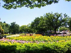 名古屋市千種区・千種公園・ユリの花園