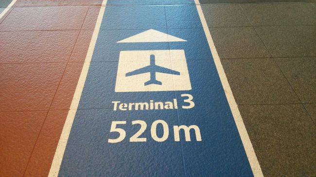 今回は、成田−関空をLCCのジェットスター往復に、大阪市内1泊付きのツアーで7000円という、激安ツアーを見つけたので予約。<br /><br />その大阪市訪問の写真。なお未乗線区の乗車はなし。