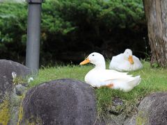 片瀬温泉・白田温泉の旅行記