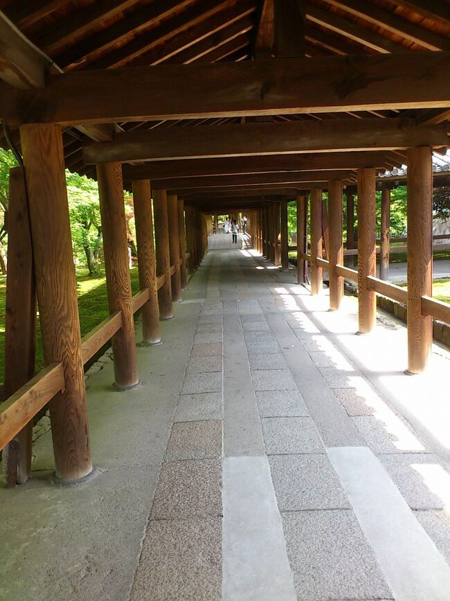 ６月の東福寺