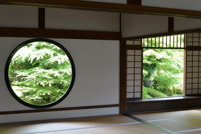 アジサイが見たいな~と「三千院」へ*・゜゚・*:.。..。.:*・'・*:.。. .。.:*・゜゚・*<br /><br />そして去年の秋に行きたかった「源光庵」にも立ち寄り、<br />マールブランシュで美味しそうなケーキもGET♪<br /><br />梅雨の合間の晴れの中、<br />新緑の京都を満喫しました♪───O(≧∇≦)O────♪