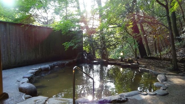 里帰りしている娘に留守を頼んで、岡山の義父母の墓参りをした。岡山市内を通り越した、金光という町に在る墓は小山の上。これが難渋する。前日四天王寺で求めた高野槙を供えて、諸々を報告する。<br /> まあ、概ね良き結果を報告できた、良い墓参だった。さあ、次は観光と温泉です。先ずは、岡山市内を飛び越えて和気ICへ。和気神社は、地元の偉人と云う事でお祀りされている。さざれ石が置かれていたが、なぜこの石がここにあるべきなのかはよく分からない。続いて訪問した閑谷学校は、和気神社から10分程度です。紅葉の時期が一番だが、紅葉の原料と云える若葉の時期も見応えがある。<br /> 国道2号を西にとって龍野で、特産素麺の揖保乃糸を買い求める。これで、この夏の素麺は備蓄が出来た。さあ、塩田温泉「上山旅館」を目指す。上山旅館は、塩田では一番古くて源泉を持っておられるのはここしかない。少し金気で塩分の多い湯です。人が浸かっても良いが、お米を漬けてお粥にするのも良い。朝食ではこれが出るが、私はボトルに詰めてもらい、今朝も楽しんだ。<br /> 翌朝遅めに旅館を出て向かったのが「雪彦温泉」です。日本に三山ある「彦山」の一つの麓で湧いた温泉です。特徴的な湯では無いが、ロケーションが真に素晴らしい。夢前川沿いの各施設では「ゆめ蕎麦」というブランドで蕎麦の価値を高めておられる。私どももこれに協力して、少し早めの昼食で、旅の〆としました。