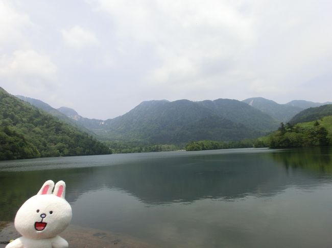 この日は訳あって会社がお休み。それなら・・・と季節もいいことだし歩きに行こう！と思い、お得なキップ『まるごと日光 東武フリーパス』（\4,520）を利用して、戦場ヶ原へ行ってきましたー。<br />こちらのキップは、（区間は決まっていますが）４日間鉄道・バス共に乗り降り自由なので、いろいろ途中下車して観光する方には大変お得ではないでしょうか。<br />なお、奥日光の湯元温泉方面まで行くのであれば、途中下車等しなくて往復だけでも、元はとれますょ。（私は今回そのパターンだったので）<br />