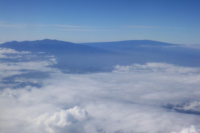 チューリップマークのユナイテッド航空で行くハワイその3 ハワイ島日帰りツアー ハワイ島 ハワイ の旅行記 ブログ By Flocons De Neigeさん フォートラベル チューリップマークのユナイテッド航空で行くハワイその3 ハワイ島日帰りツアー ハワイ島 ハワイ の旅行記 ブログ By Flocons De Neigeさん フォートラベル