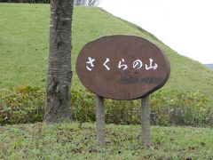 成田のさくらの山は滑走路の外れにあります。 