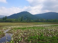 水芭蕉を訪ねて～憧れ尾瀬をトレッキング(^O^)　