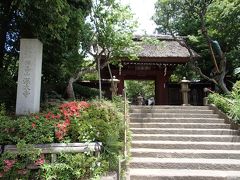 深大寺散策：拝殿のまえに腹ごしらえ、散策後、新宿のビックロへ：アテンド５日目。
