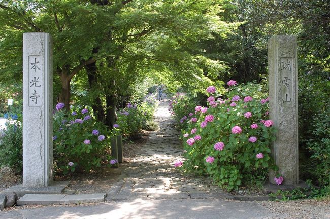 紫陽花と海が見たくて・・三河のあじさいの名所「本光寺」と蒲郡のリゾート施設「ラグーナテンボス」へ行ってきました。<br />