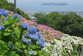 2015梅雨、三河の紫陽花：形原温泉(5/9)：渥美湾遠望、補陀ヶ池、錦鯉