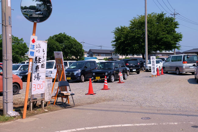 群馬県を走っても毎度　素通りの町　伊勢崎<br /><br />　付近に幾つかの遺跡もあるので　いつの日か来てみようと<br /><br />　　　思ってはいましたが<br /><br />国指定女堀遺跡が　花しょうぶ園なって　花しょうぶ祭りの最中<br /><br />　　　早起きして　飛び出しました、<br /><br /><br />伊勢崎市観光　赤堀花しょうぶ園<br />http://www.isesaki.ne.jp/kankoukyoukai/syoubukaika.html<br /><br />赤堀花菖蒲園　地図<br />http://www.isesaki.ne.jp/kankoukyoukai/map_img/map_se2_img/map_se2.html<br /><br />国指定史跡　女堀<br />http://www.city.isesaki.lg.jp/www/contents/1355198986080/index.html